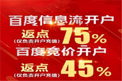 SEM广告投放案例：打造品牌影响力